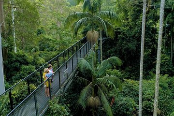 Premium Springbrook Natural Bridge, Glow Worm Cave & Skywalk