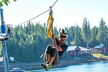 Ketchikan Shore Excursion: Rainforest Canopy Ropes and Zipline Adventure Park