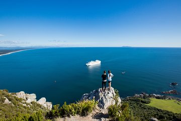 4hr Shore Excursion - History and Tasting Tour FREE Kiwifruit Tasting