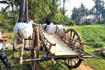 Rural Village with Ox Cart Journey & Monk Blessing