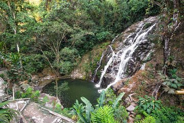 Minca day-trip and Coffee Farm Visit from Santa Marta