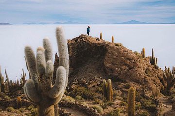 Uyuni Salt Flats day tour (4 Small Group)