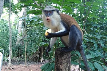 2 Days (1 night) Volta Region Waterfalls and Hiking private Tour