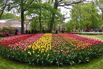  Keukenhof Tulips and Zaanse Schans Windmills Private Day Tour