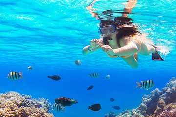 Snorkeling Cruise from Hurghada to Mahmaya, Giftun Islands