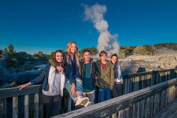 Private Tour From Auckland to Rotorua & Waitomo Glowworm Caves, Small group