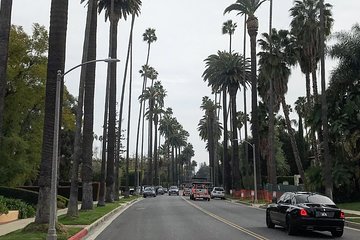 4 Hour Tour of Hollywood Departing from Santa Monica or DTLA