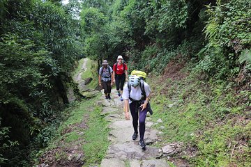 Mardi Himal Base Camp Trek (5 Days)