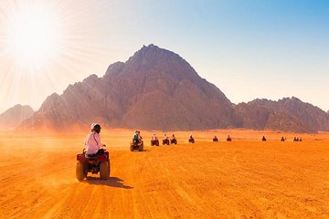 Quad Biking in the Sinai Desert