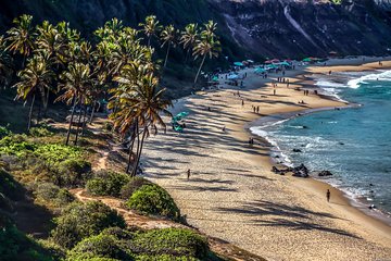 Pipa Beach Day tour from Natal