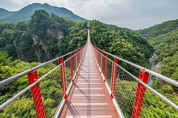 DMZ 3rd Invasion Tunnel and Suspension Bridge Day Tour from Seoul