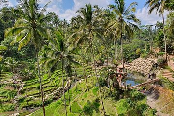 All Inclusive Ubud Experience