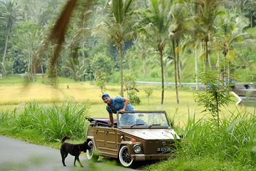 Visit Rice terrace, Beratan temple, waterfall by Vantage Volkswagen 181