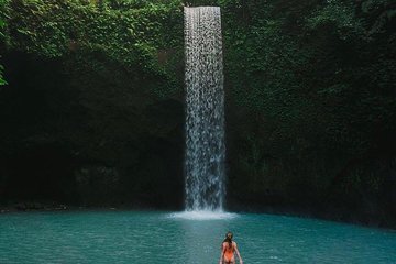 All Inclusive Private Highlight Ubud Waterfalls Tours