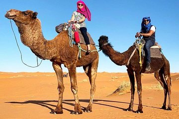 5 Days Luxury tour guide from Marrakech to Erg Chebbi (Merzouga)