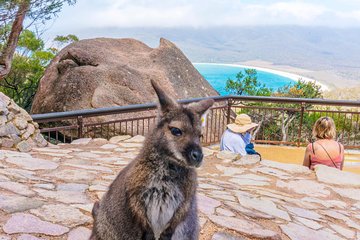 Wineglass Bay & Freycinet NP Full Day Tour from Hobart via Richmond Village