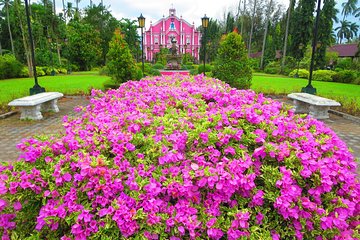 Immerse in Culture: Villa Escudero Coconut Plantation Experience