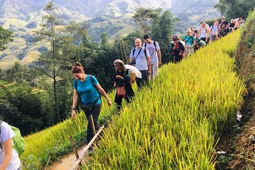 Sapa 2 Days 2 Nights Trekking Tour - Overnight in Bus and Bungalow