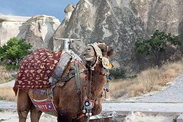 Get the Hump on Cappadocia's Camel ride