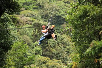 Rainforest Canopy Zipline & Hanging Bridges Tour From Monteverde