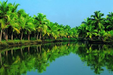 Cochin Shore Excursion: Backwater Houseboat Tour and Chinese Nets