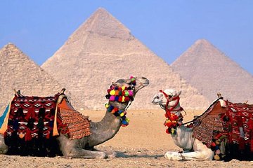 Great Pyramids, Sphinx, Valley Temple and Boat Museum