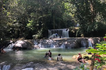 Black River Safari, YS Falls and Appleton Estate 