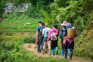 Trekking Through Rice Terraced Fields - 1Day​