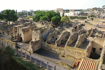 Herculaneum Discovery Tour from Naples