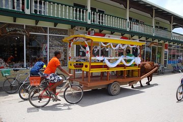 Full day Discovery Tour of La Digue Island from Praslin Island