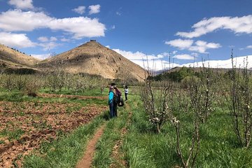 M’Goun Peak Ascent Trek- 6 Days