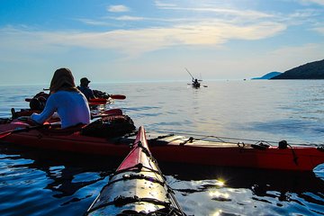 Kayak Adventure