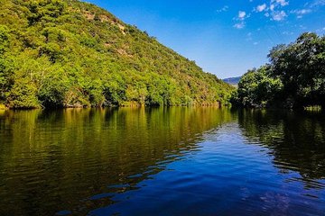 Best of Douro Valley Wine Full Day Private Tour