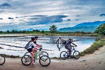 Morning Ride in Mandalay (Half Day)