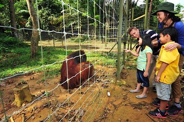 Ipoh Private Day Trip from Kuala Lumpur with Lunch