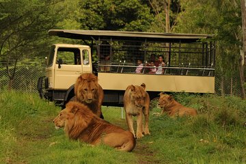 Casela World of Adventures, West of Mauritius - Full Day + Lunch