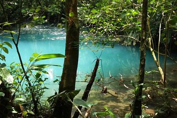 One Day Tour Celeste River From San Jose