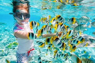 Red Sea Snorkeling Hurgada 