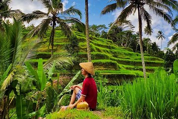 Scenic Ubud Tour and Tanah Lot Temple at Sunset-All Inclusive