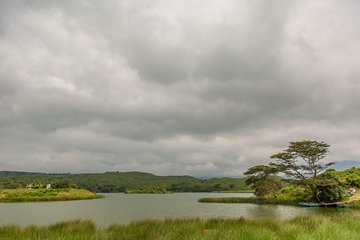  Day Trip Tour to Arusha National Park from Arusha town