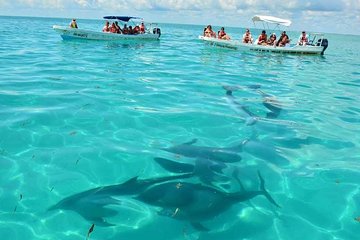 Snorkeling in Sian Ka'an