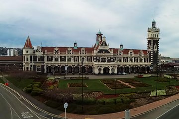 Dunedin City and Coastal Views 3-Hour Small-Group Guided Tour