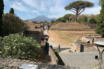 Transfer Naples to Sorrento and stop in Pompeii