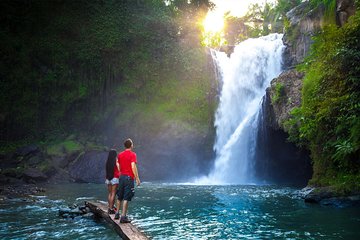 Ubud Tour : Waterfall - Jungle Swing - Monkey Forest - Free WiFi