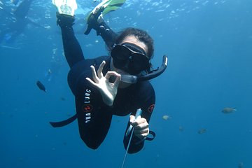 Snorkeling Trip Tulamben Bali