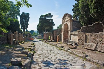 Skip the Line Herculaneum Ruins Ticket 