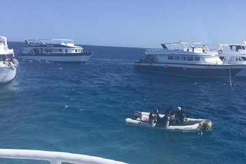 2 dives from a comfy boat for Certified Divers