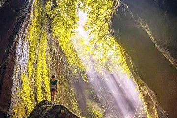 Ubud Swing, Rice Terrace and Waterfall Highlights Tour