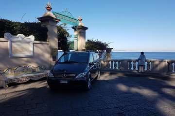 Transfer from Naples to Sorrento with 2 hours Private Tour in Pompeii