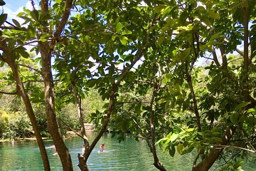 2 Cenotes, bikes & lunch